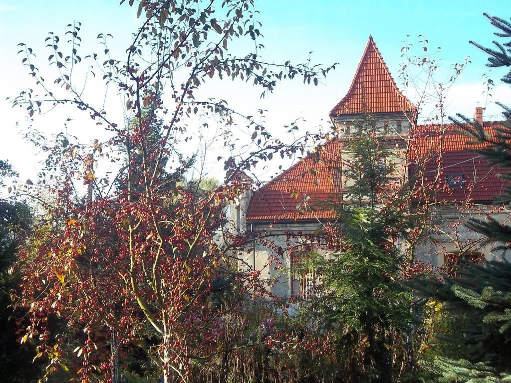 Dwor W Boleniu Villa ภายนอก รูปภาพ